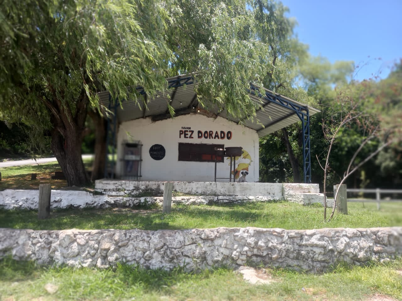El Municipio llama a Concurso de Precios para concesionar la Cantina del Camping Pirayú - Zona Baja