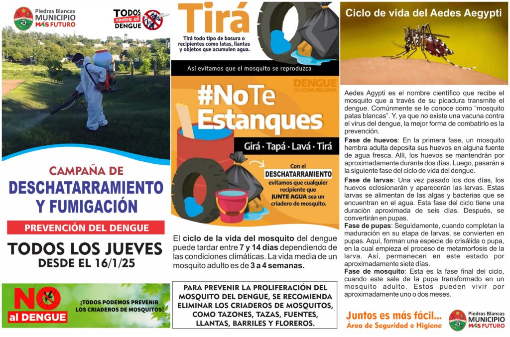 Folleto Dengue