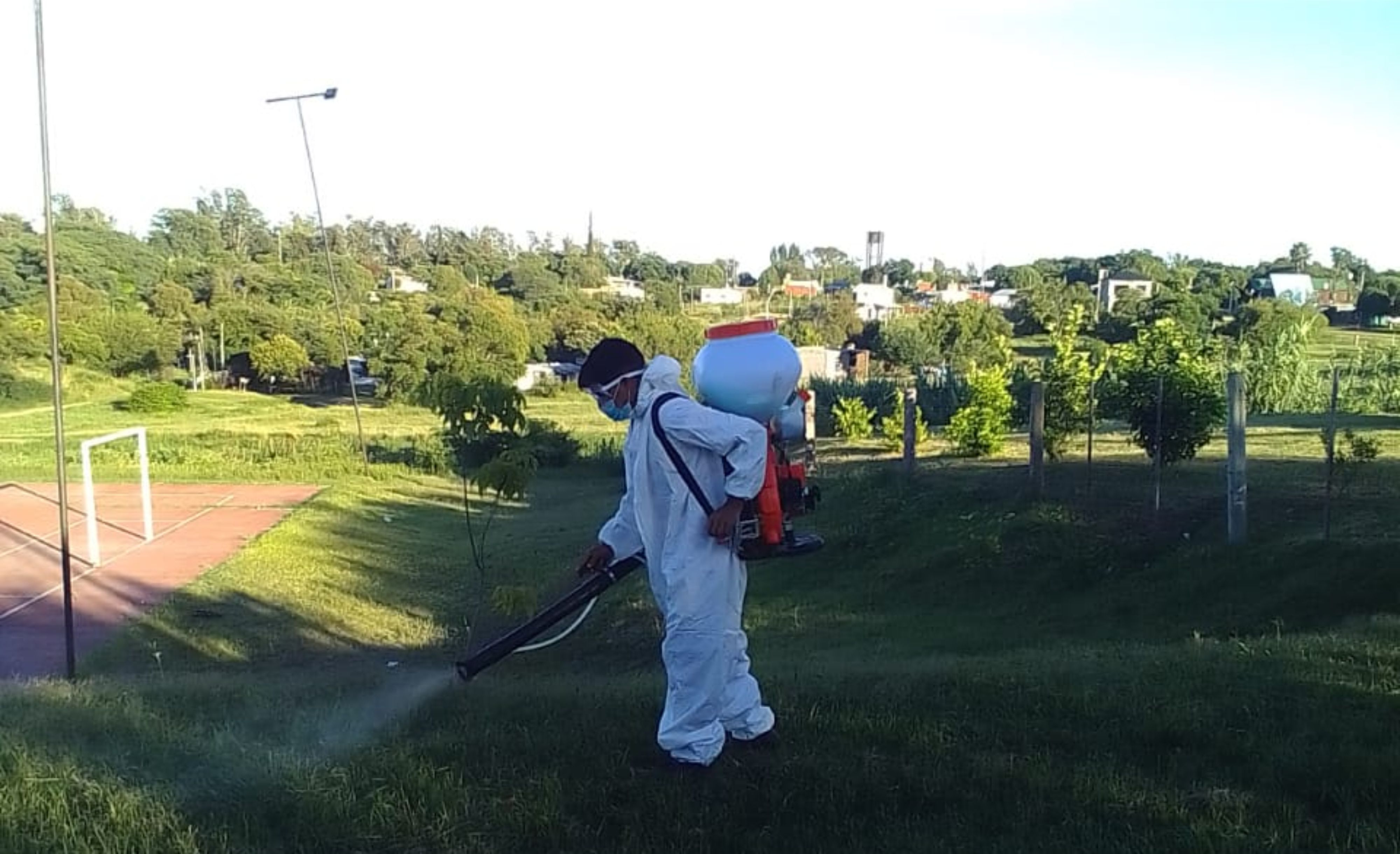 El Municipio llevará adelante un Programa de deschatarramiento y fumigación